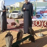 فيحان ألمتعب الحافي (@labhar8845) 's Twitter Profile