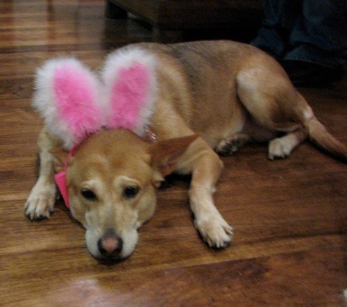 mcing's profile picture. 