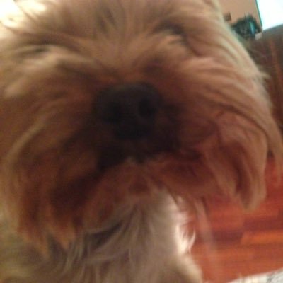 fiklamp's profile picture. 