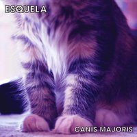 Esquelatheband (@esquela) 's Twitter Profile