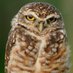 Mrs. Pavek's Class (@mrspavek) Twitter profile photo Mrs. Pavek's Class (@mrspavek) Twitter profile photo