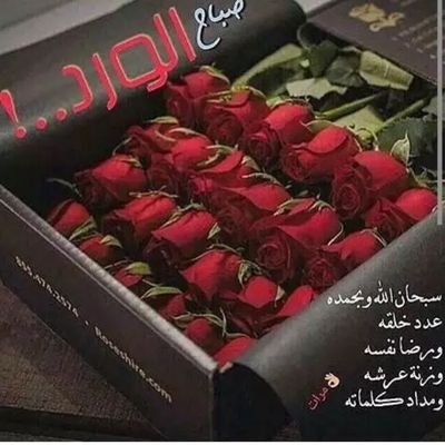 كويتيه وكلي فخر
.... ...
ياوطن وانت حبيبي .......
وانت عزي وتاج راسي......
انت يافخر المواطن .......
انت اجمل وانت اغلي.......
وانت اعظم من الكراسي..