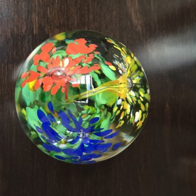 SMGUZ's profile picture. ... ¿y tú? ¿Qué aportas a este mundo?