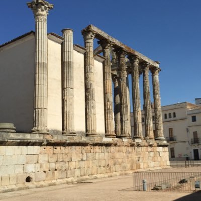 luiseteeee's profile picture. 