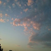 緋。 (@aka_murasan) 's Twitter Profile