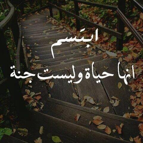 ScorpionShaalan's profile picture. https://t.co/vGlNh5jR55