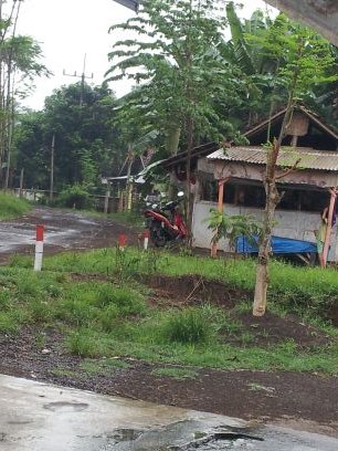 mashin_servis's profile picture. 