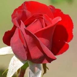 IwjAX4EP7jaVstV's profile picture. 