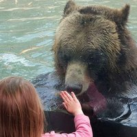 saraschnell (@saraschnell2429) 's Twitter Profile Photo