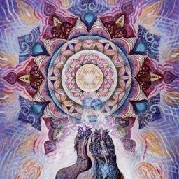 SenseHos's profile picture. होस/ Sensibility.HOS Foundation