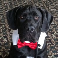 Mike Runyan (@rbaldrunone) 's Twitter Profile