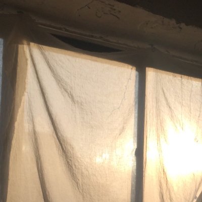 mimidore888's profile picture. 20↑