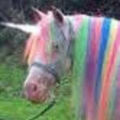 💋💋💋HELLO MY NAME IS A PONY NAMED PRINCESS TOM DELONGE IS MY FUTURE HUSBAND I AM 400 YEARS OLD 💋 READ MY BOOK !!! 💋