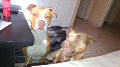 GarrettDelia's profile picture. Taken