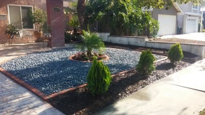 califpalmsla's profile picture. 