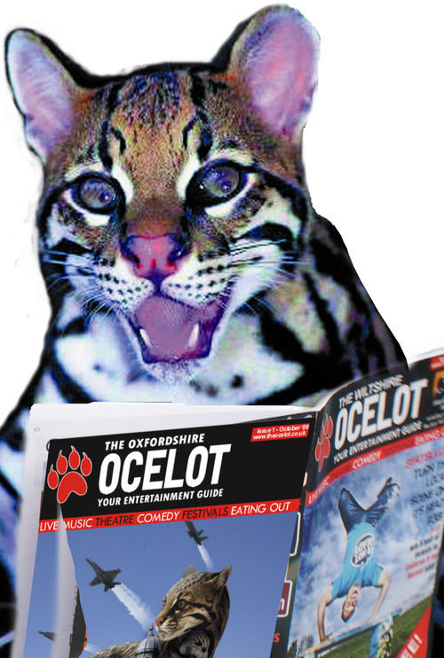 We're an arts and culture magazine for Oxfordshire, Wiltshire and West Berkshire. Contact us via jamie@theocelot.co.uk