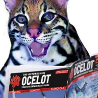 Ocelot Media (@theocelotmag) 's Twitter Profile Photo Ocelot Media (@theocelotmag) 's Twitter Profile Photo