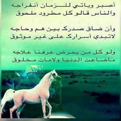 Mkfdkdg's profile picture. 