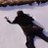 Powderfulのアイコン