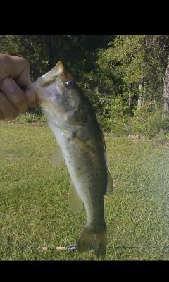 freshwater fishing,kayak fishing,dirt bike