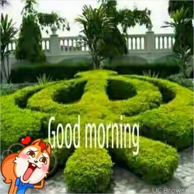 9888006126ms041's profile picture. 