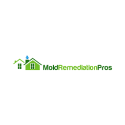 mold remediation, black mold removal, mold inspection, mold removal