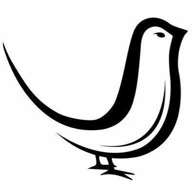 AilePigeon's profile picture. Faites un une-deux avec l'actu foot !