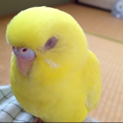 clcpp5's profile picture. ログアウトします。ありがとうございました