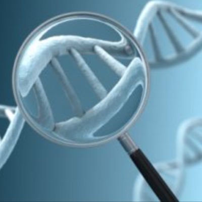 updates on the advances of GE and its new uses