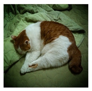 picsel100's profile picture. 