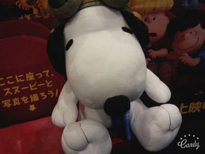 fNQEGXKVP1PvBYw's profile picture. 鷹取幼稚園→鷹取小学校→鷹取中学校→湘南学院109HR 211HR 312HR 吹奏楽cl.スヌーピー、ムーミン♡♡♡