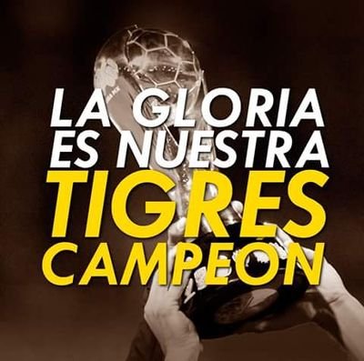 marqo_os's profile picture. 