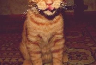 spaw291ehmi's profile picture. Сколько волка некорми, ве равно в лес смотри