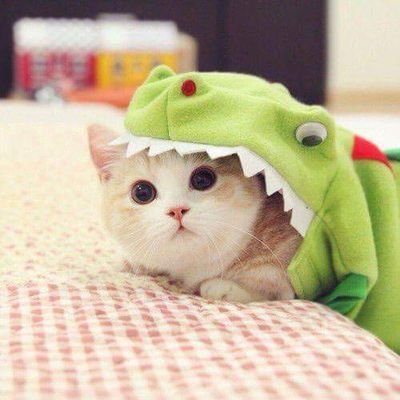 MTZH0518's profile picture. 