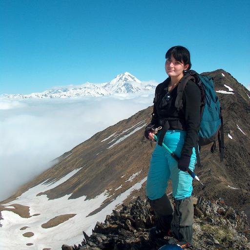 Georgian Language teacher, including Georgian as a foreign language, ქართულის მასწავლებელი (აბიტური, სამაგისტრო, მასწ. გამოცდა), ტექსტების რედაქტორი.