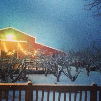 Greenbluff U-pick fruit orchard w/lots of fresh produce, high quality gift &home decor, bistro, deli, animals. Gorgeous event barn for weddings, too!