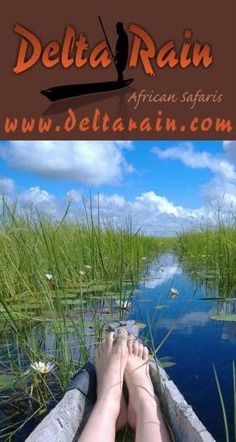 deltarainsafari's profile picture. Botswana based Safari Operators, budget and beyond, excitement and adventure throughout the continent . Ask us for advice or information on things ‘African’