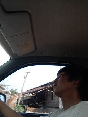 rinspird's profile picture. 