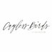 Cageless Birds (@cagelessbirds) Twitter profile photo Cageless Birds (@cagelessbirds) Twitter profile photo