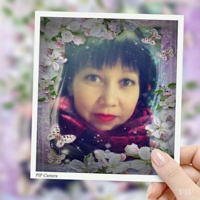 RaisbekobaBalgi's profile picture. 