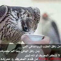 رجل يبحث عن صادقة (@4499fawas) Twitter profile photo
