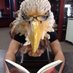 Eagle Library (@SEHSlibrary) Twitter profile photo