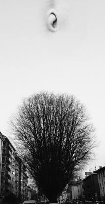 AristideGambia's profile picture. 