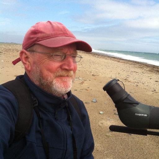 Usually out #birding somewhere in Dublin, Wicklow or Wexford. South Dublin Bay and Tacumshin for @PatchBirding. Likes #seawatching at The Bridges of Ross.