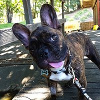 Brian R. Moore (@b_r_i_a_n_moore) 's Twitter Profile Photo