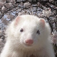 mari050724 (@mari050724) 's Twitter Profile