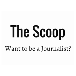 TheScoopLSJ's profile picture. Journalism website dedicated to offering you information on entry requirements, personal accounts of journalists and some fun and games!