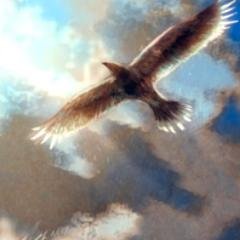 いさなさんのプロフィール画像