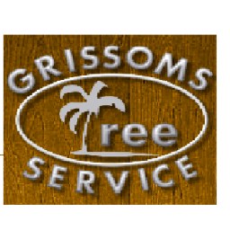 grissomstreesvc's profile picture. 