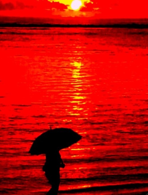 flying_fish's profile picture. 